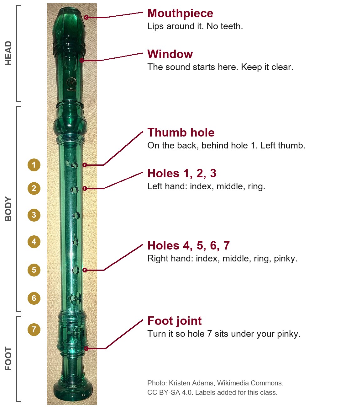 Photo of a soprano recorder labeled: mouthpiece, window, thumb hole, holes 1 to 7, head, body and foot joints