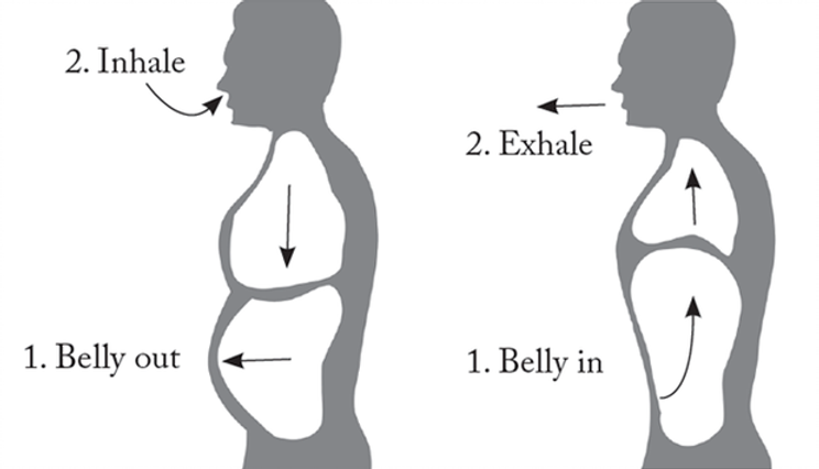Diaphragmatic breathing diagram: inhale belly out, exhale belly in